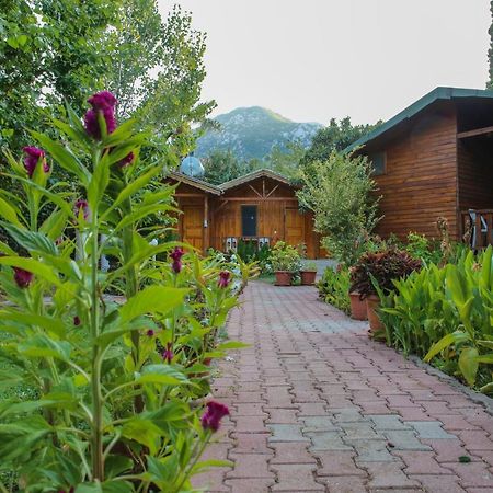 Duran Bungalow Adrasan Exteriér fotografie